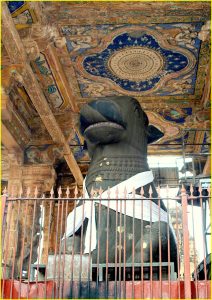 Nandi (bull) at Brihadishvara temple, Thanjavur, Tamil Nadu