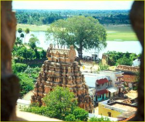 Village temple in Tirumayam