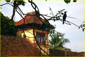 Near Sri Padmanabhaswamy Temple in Trivandrum, Kerala