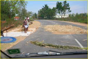 Threshing a crop (on a cheap, using road traffic)