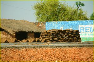 Firewood of sorts for sale (elephant dung)