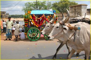 Last vehicle (in the background) at a funeral near Trichy, Tamil Nadu