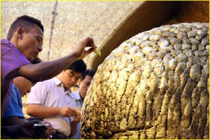 Applying golden leaf to reverend seated Buddha statue at Mahamuni Paya (by men only!), Mandalay, Myanmar