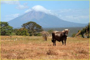 Volcan Concepcion on Ometepe Island