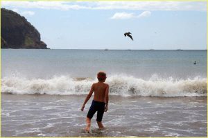 With pelicans in San Juan del Sur