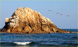 Pelicans flying in a formation, Pacific coast of Huatulco
