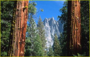 Sentinel Rock, Yosemite N.P.