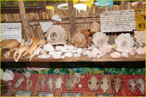 Artifacts in Kuna Museum on Carti Suitupo (Sugtupu) Island