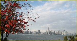 Panorama of Panama City modern center from Causeway