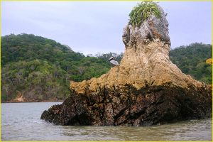 In San Miguel Gulf, Darien Province