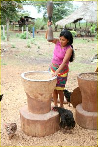 Women at work, Embera Indian village of Mogue, Darien Province