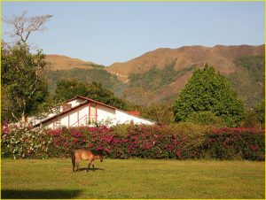 In El Valle, Cocle Province