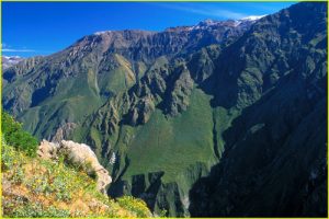 Andean panorama from Cruz del Condor at the entrance to Colca Canyon