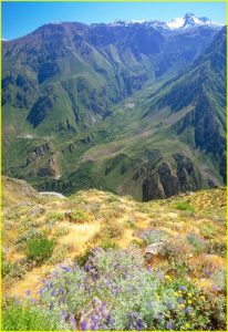 Colca Canyon and Mismi