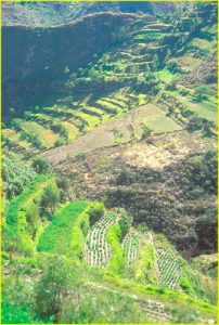 Terrace fields near Huambo
