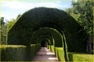 Gardens of Casa de Mateus