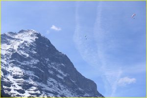 Paragliding in Grindenwald