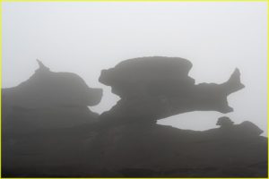 Roraima Monster 1
