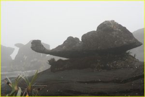 Roraima Monster 3