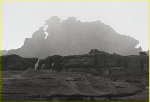 Roraima Monster 4