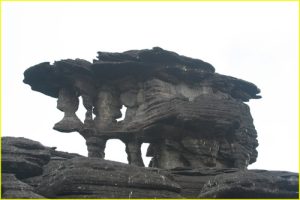 Roraima Monster 5