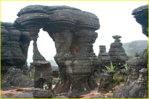 Roraima Monster 6