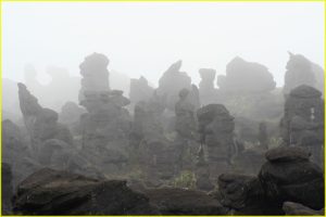 Roraima Monster 7