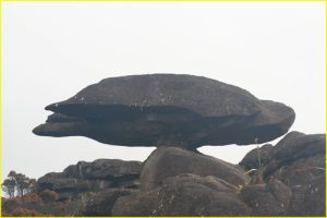Roraima Monster 8 (Flying Turtle)