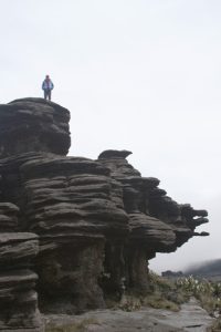 Roraima Monster