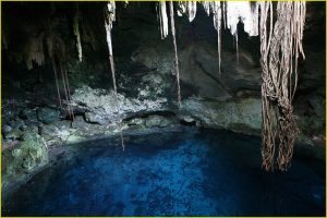 One of the Cenotes de Cuzama