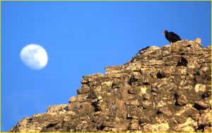 Watching over the ruins of Coba