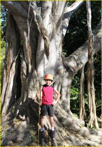 In a jungle