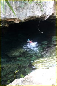 Swimming in the Cenote Cristalino