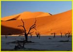 Southern Africa Highlights